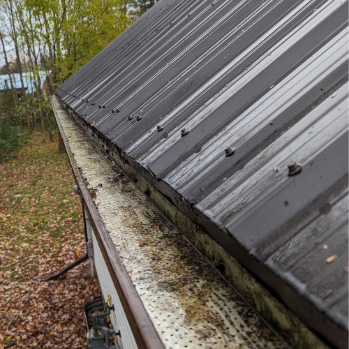 gutter cleaning gutter guard cleaning